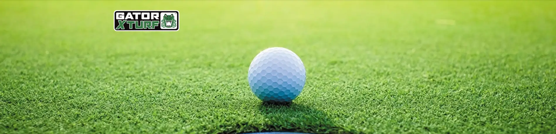 Putting Green Blend - Gator Summer Green